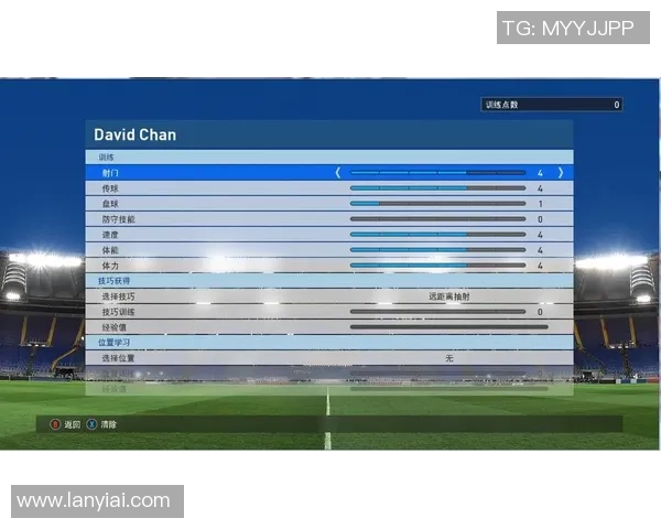韩国K联赛足球明星年薪揭秘及其对职业生涯的影响分析